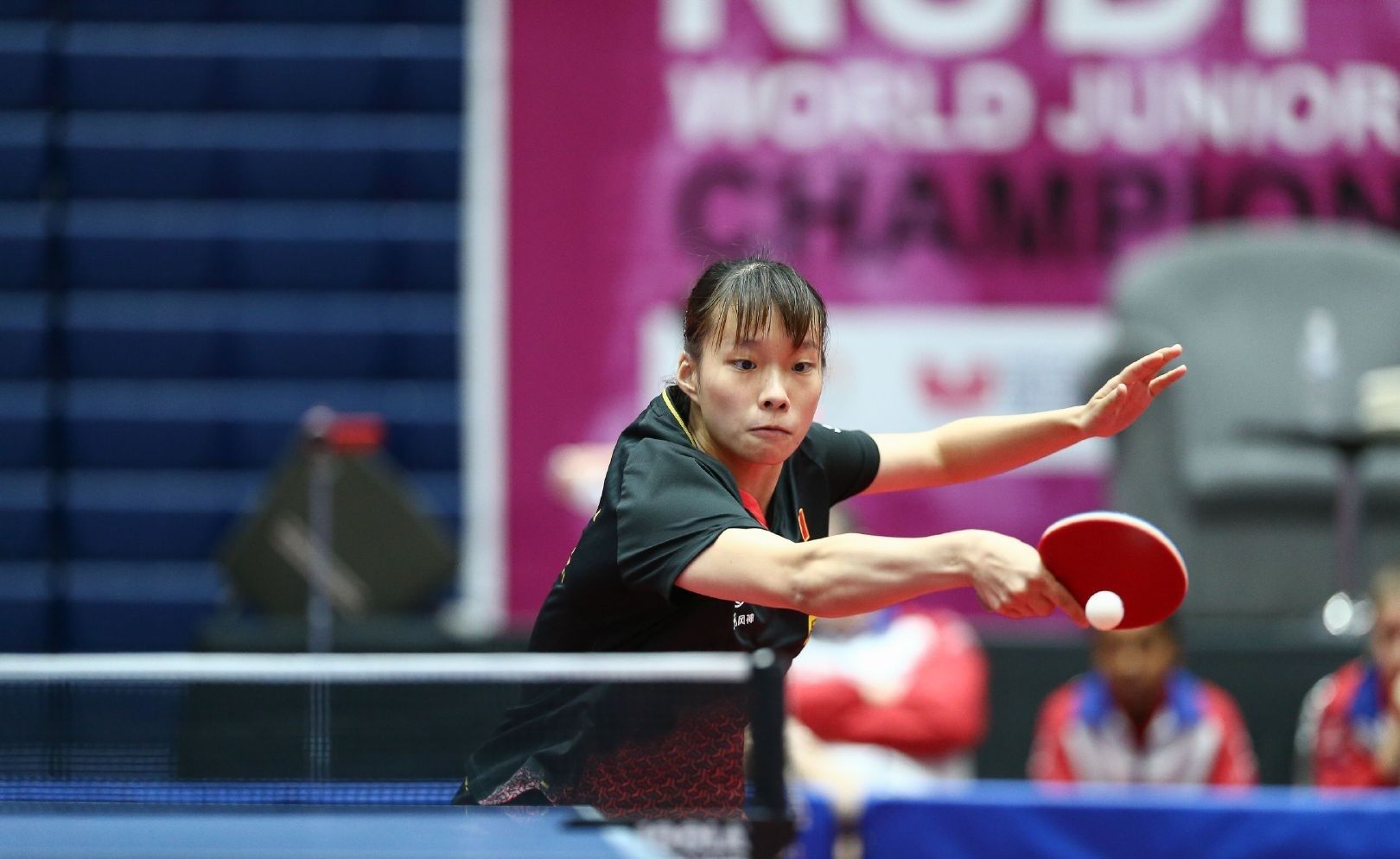 我们看到的 我们看到的